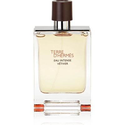 Hermès Terre d'Hermès Eau Intense Vétiver parfumovaná voda pánska 100 ml