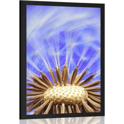 Plakát pampeliška ve fialovém provedení - 20x30 black
