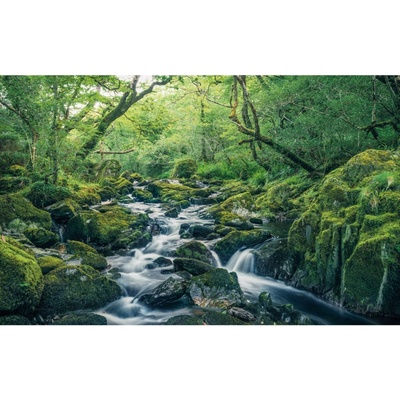 Komar Vliesová fototapeta Green Tales rozměry 400 x 250 cm