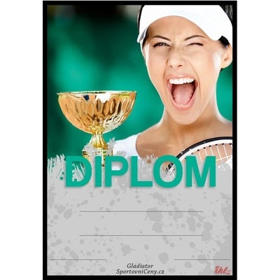DT02f Diplom tenis
