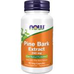 NOW Pine Bark Extract 240 mg [90 капсули]