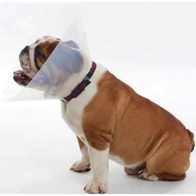 Kruuse Límec ochranný Buster plastový E-Collar Brachy L