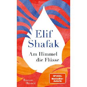 Am Himmel die Flüsse (ISBN: 9783446280083)