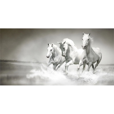 Foto obraz fotografie na skle biele kone 100x50 cm