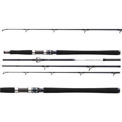 Daiwa Grandwave Travel 2,4 m 50-125 g 4 Diely