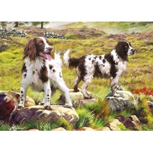 Otter House Spaniel on Moor 1000 dielov