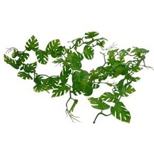 Lucky Reptile Pothos Vine 200 cm