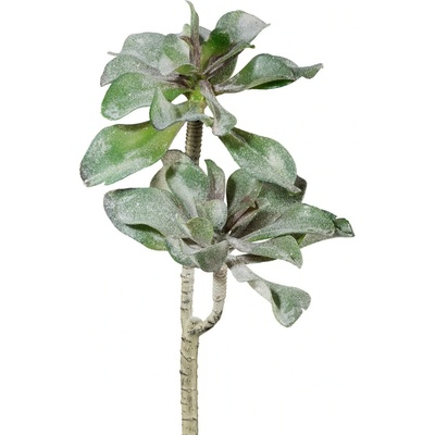 Sukulent výška 47 cm Gasper - zelený