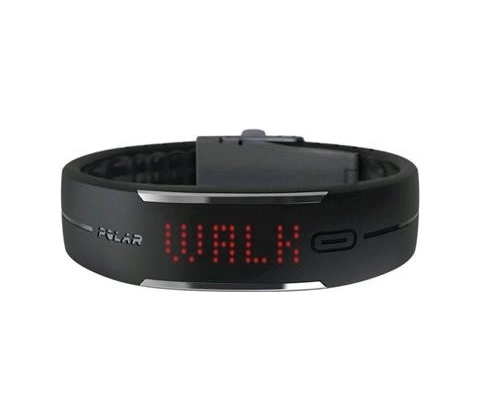 POLAR Loop 2
