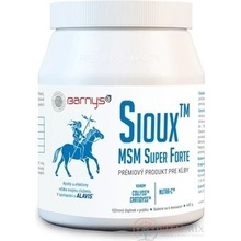 Barny's Sioux MSM Super Forte prášek 600 g