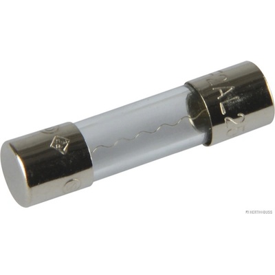Poistka HERTH+BUSS ELPARTS 50295050
