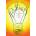 Brilliant: The Evolution of Artificial Light | Jane Brox