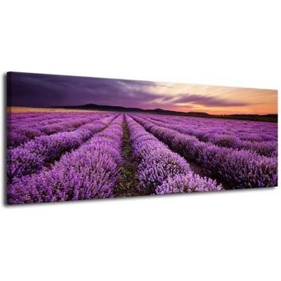 Obraz na plátně-Levandulové pole plátno 1 100x40