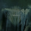 GILES THOMAS: VELCRO KID CD
