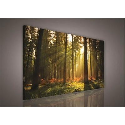 Obraz na plátne, rozmer 100 x 75 cm, les, IMPOL TRADE PP204O1