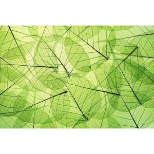 DIMEX ART Флизелинов фототапет листни жилки 375 x 250 см