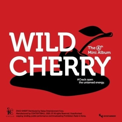 Ichillin' - Wild Cherry CD