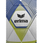 ERIMA Hybrid 2.0 Training Ball - 11teamsports - 70,41 лв