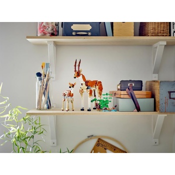 Image 1 of LEGO® Creator 3-in-1 - Wild Safari Animals (31150)