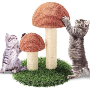  Котешка драскалка две гъби