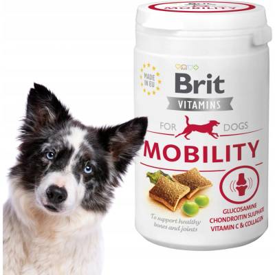 Brit Vitamin MOBILITY 150 g
