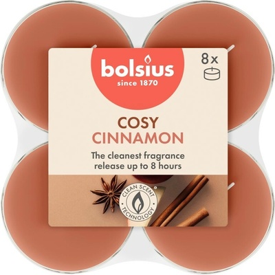 Bolsius Aromatic Maxi Apple Cinammon 8 ks