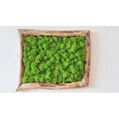 Mechový obraz v asymetrickém rámu 40cm x 30cm