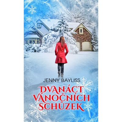 Dvanáct vánočních schůzek