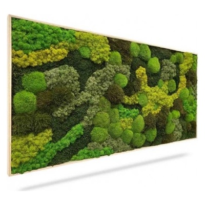 Machový obraz ORTHO TELDE, 100x60cm, drevený biely rám