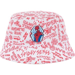 Kids movie heroes Шапка с периферия spiderman (ex4052-white)