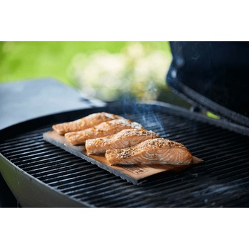 Weber Q2400 (WB 55020079)