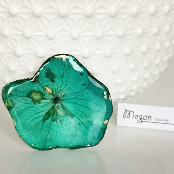 Meganflo Хортензия тюркоаз