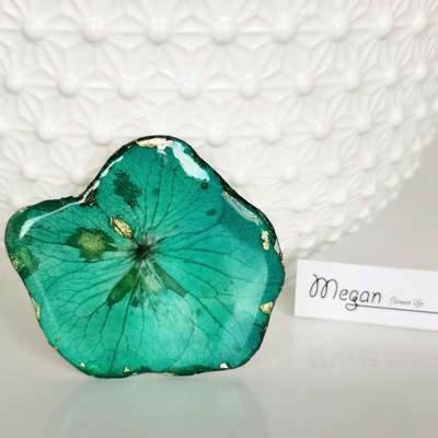 Meganflo Хортензия тюркоаз