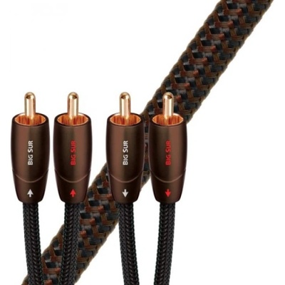 AudioQuest Big Sur 2x CINCH - 2x CINCH 1m