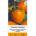 Seklos Домати Оранжево сърце Oxheart orange