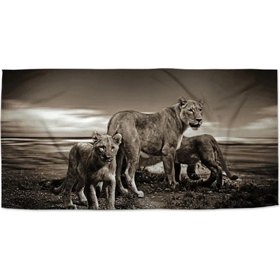 Sablio Uterák Levice a levíčatá 50 x 100 cm