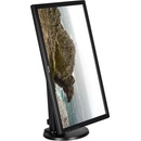 BenQ BL2405PT