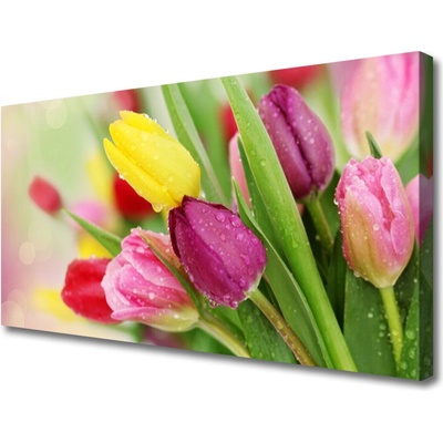 Obraz na plátně Tulipány Květiny Rostlina 100x50 cm