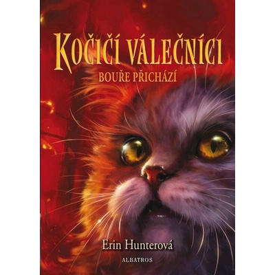 Kočičí válečníci 4 - Bouře přichází, 3. vydání - Erin Hunter