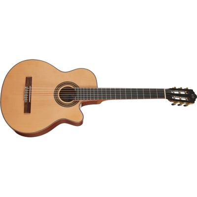 Tanglewood EMDC7