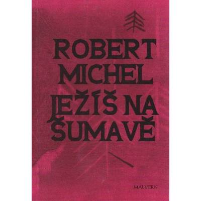 Ježíš na Šumavě - Robert Michel
