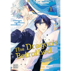 Dragon's Betrothed, Vol. 1 (ISBN: 9781974734153)