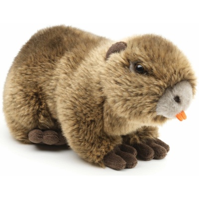 Eco-Friendly Popron.cz nutrie 22 cm