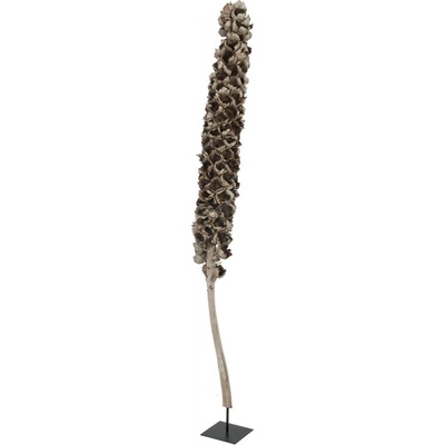 Cacho Coco z babassu palmy, délka 120-190 cm