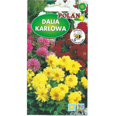 DALIA variabilná trpasličia ZMES semien kvetov 2 g
