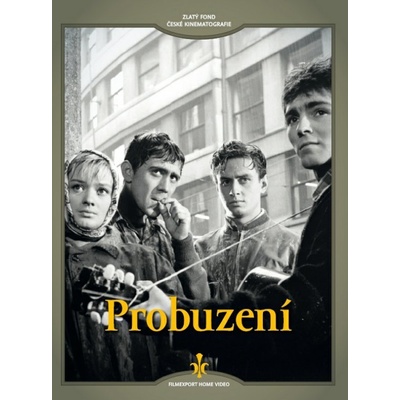 Filmexport HV s. r. o Probuzení - DVD (011185)