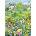 Alipson Puzzle - Puzzle Easter Egg Hunt - 500 piese