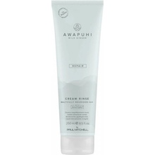 Paul Mitchell Awapuhi Wild Ginger Repair Cream Rinse 250 ml