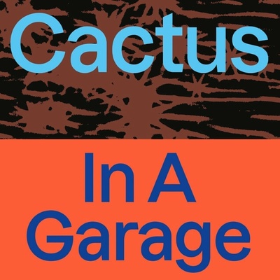 Cactus - In a Garage LP