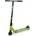 BYOX Stunt Iguana